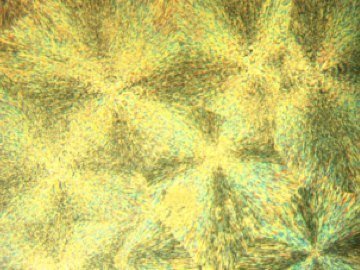 Ph.D. research sample or application